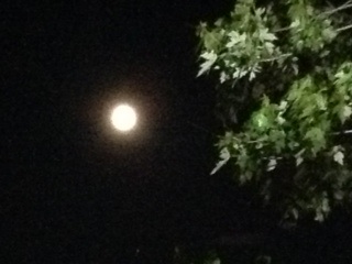 Super Nan in the moon